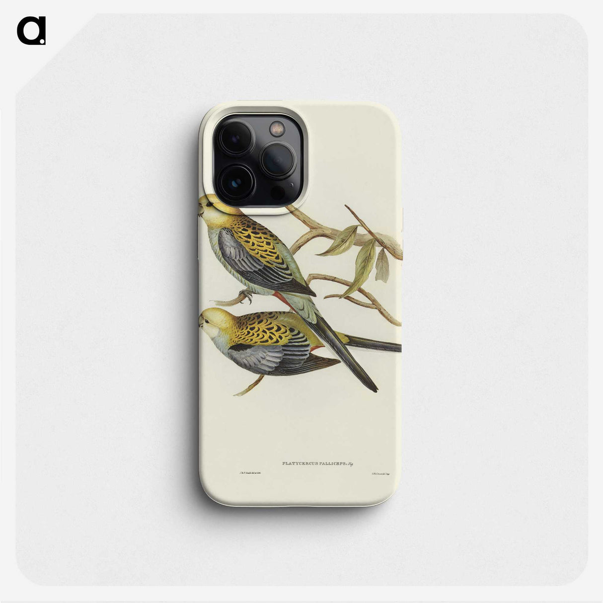 3-56_John-Gould_phone