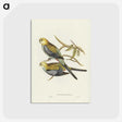3-56_John-Gould_postcard