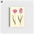 アートメモ帳-Tulipa gesneriana
 - マリア ジビーラ メーリアン Memo.
