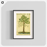 アートポスター-Erlen oder Ellernbaum
 - 国立医学図書館 Poster.
