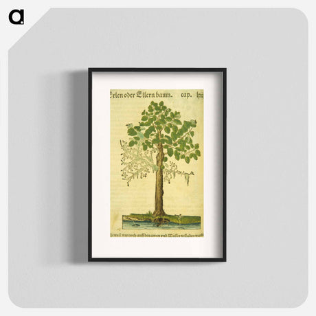 アートポスター-Erlen oder Ellernbaum
 - 国立医学図書館 Poster.