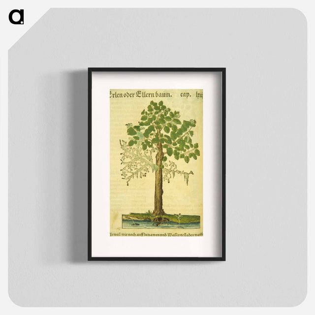 アートポスター-Erlen oder Ellernbaum
 - 国立医学図書館 Poster.