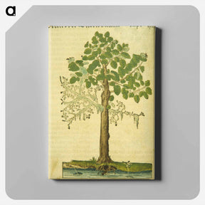 アートパネル-Erlen oder Ellernbaum
 - 国立医学図書館 Canvas.