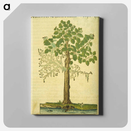 アートパネル-Erlen oder Ellernbaum
 - 国立医学図書館 Canvas.