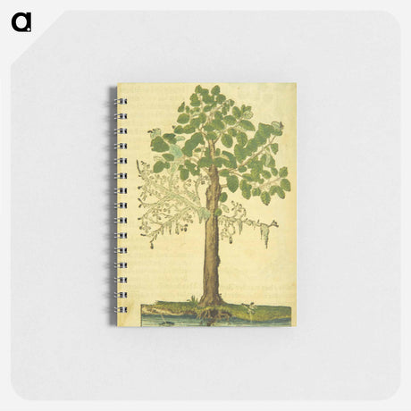 アートメモ帳-Erlen oder Ellernbaum
 - 国立医学図書館 Memo.