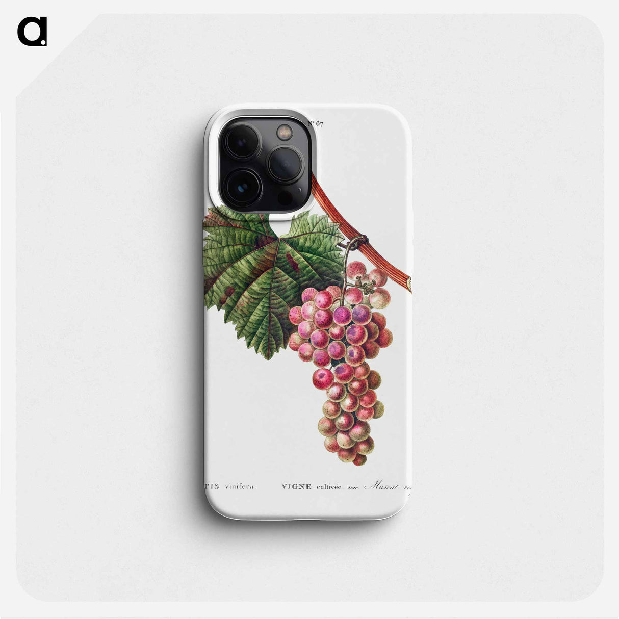 Vitis vinifera (Muscat rouge) - Pierre Joseph Redouté Phone Case.