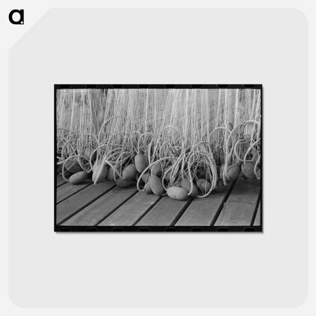 アートポストカード-Astoria Fishing Nets
 - ラッセル リー Postcard.