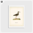 アートポストカード-Common Redshank
 - スヴェンスカ フォグラル Postcard.