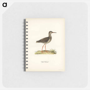 アートメモ帳-Common Redshank
 - スヴェンスカ フォグラル Memo.
