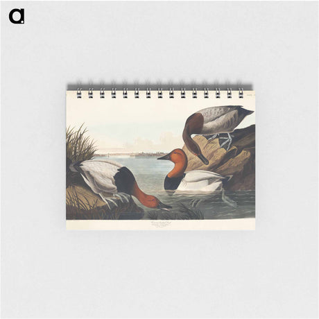 アートメモ帳-Duck from Birds of America
 - アメリカの鳥たち Memo.