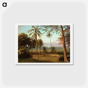 アートポストカード-Florida Scene - アルバート ビアスタット Postcard.