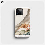 Red-footed falcon - アンセルムス ボエティウス デ ブート Phone Case.