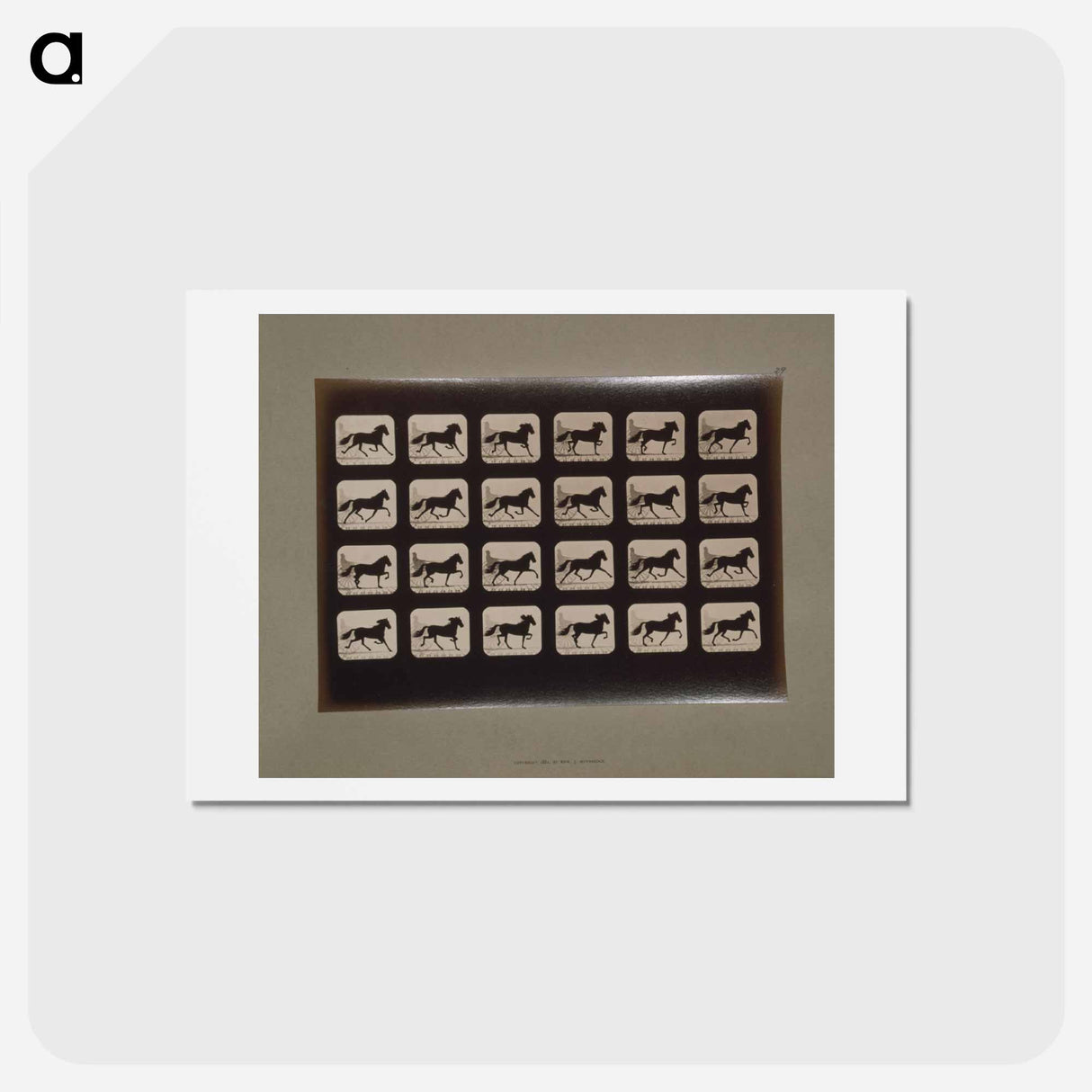 アートポストカード-Trotting Horses
 - エドワード マイブリッジ Postcard.
