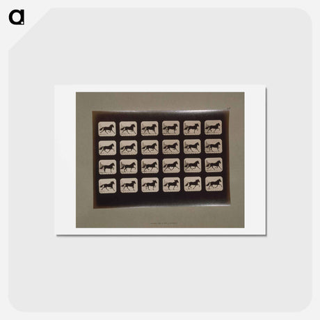 アートポストカード-Trotting Horses
 - エドワード マイブリッジ Postcard.