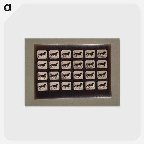 アートポストカード-Trotting Horses
 - エドワード マイブリッジ Postcard.