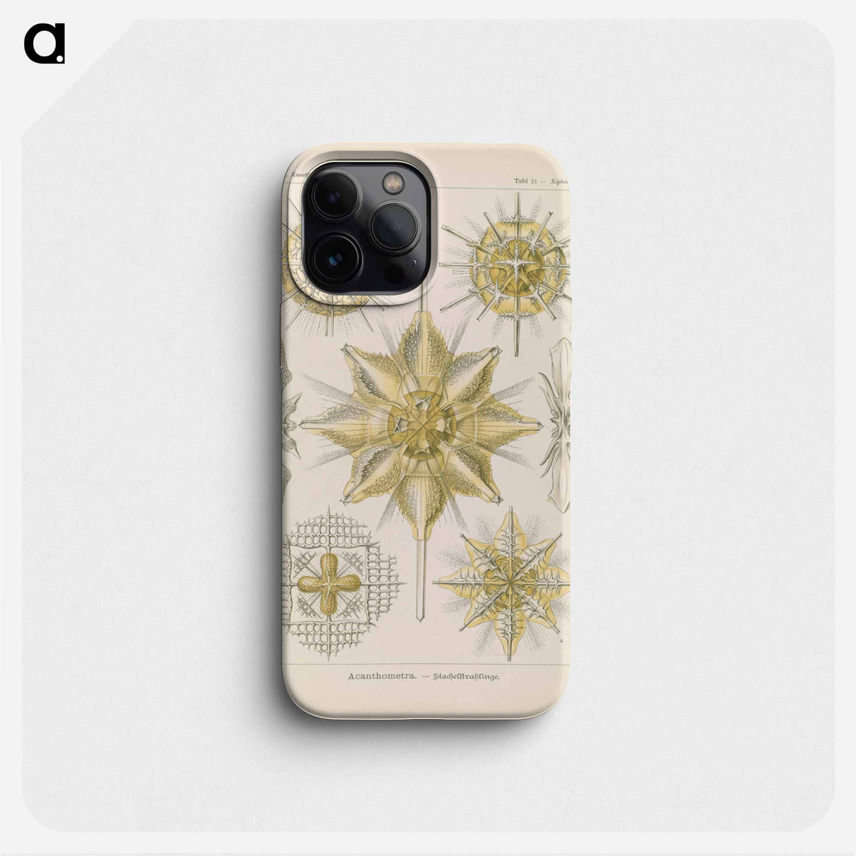 Marine life illustration - エルンスト ヘッケル Phone Case.