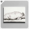 アートパネル-Lying pig - ジャン ベルナール Canvas.