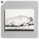 アートパネル-Lying pig - ジャン ベルナール Canvas.