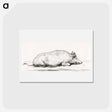 アートポストカード-Lying pig - ジャン ベルナール Postcard.