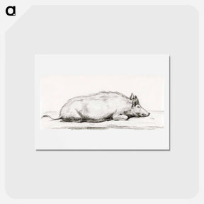 アートポストカード-Lying pig - ジャン ベルナール Postcard.