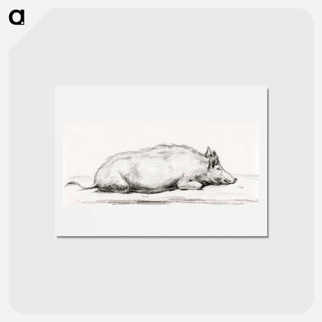 アートポストカード-Lying pig - ジャン ベルナール Postcard.