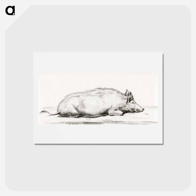 アートポストカード-Lying pig - ジャン ベルナール Postcard.