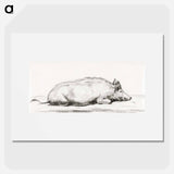 Lying pig - ジャン ベルナール Poster.