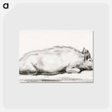 アートポストカード-Lying pig - ジャン ベルナール Postcard.