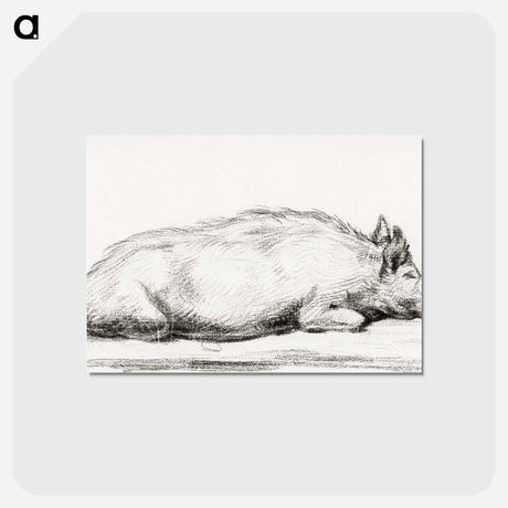 アートポストカード-Lying pig - ジャン ベルナール Postcard.