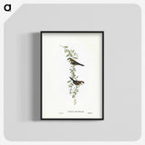 3-57_John-Gould_blk-crop