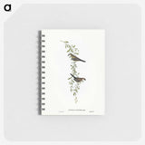 3-57_John-Gould_memo