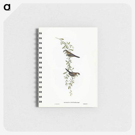 3-57_John-Gould_memo