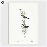 3-57_John-Gould_picture-crop