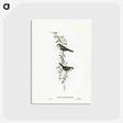 3-57_John-Gould_postcard