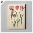 アートパネル-Tulipa Gesneriana
 - マリア ジビーラ メーリアン Canvas.