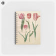 アートメモ帳-Tulipa Gesneriana
 - マリア ジビーラ メーリアン Memo.