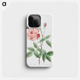 Old Blush China - Pierre Joseph Redouté Phone Case.