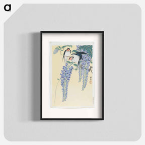 アートポスター-Swallows and Wisteria
 - セントルイス美術館 Poster.