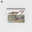 アートメモ帳-Pin-Tailed Duck from Birds of America
 - アメリカの鳥たち Memo.