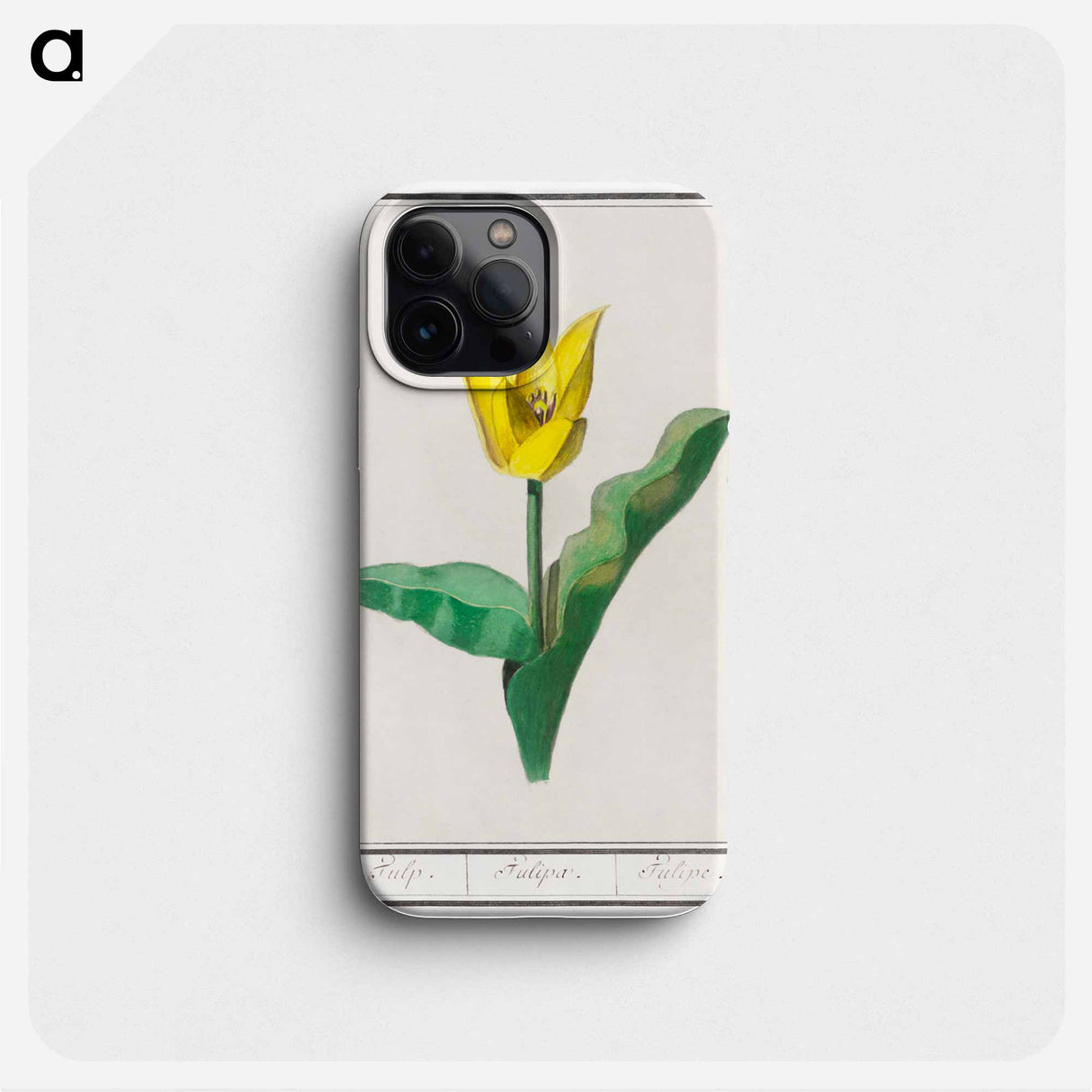 Tulip - アンセルムス ボエティウス デ ブート Phone Case.