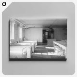 3-58_COVID-19_canvas
