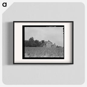 アートポスター-Pharr Plantation house near Social Circle, Georgia - ドロテア ラング Poster.