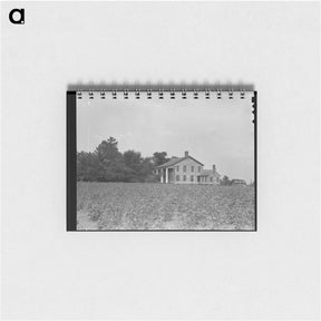アートメモ帳-Pharr Plantation house near Social Circle, Georgia - ドロテア ラング Memo.