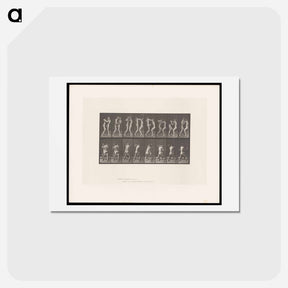 アートポストカード-Posing Pouches
 - エドワード マイブリッジ Postcard.