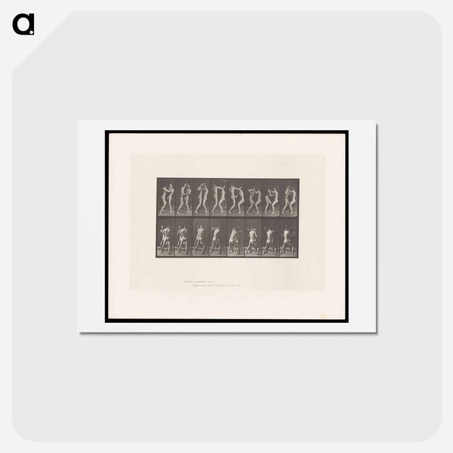アートポストカード-Posing Pouches
 - エドワード マイブリッジ Postcard.