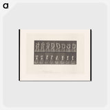 アートポストカード-Posing Pouches
 - エドワード マイブリッジ Postcard.