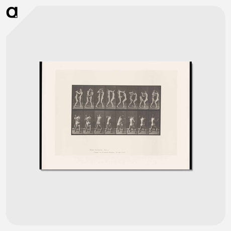 アートポストカード-Posing Pouches
 - エドワード マイブリッジ Postcard.