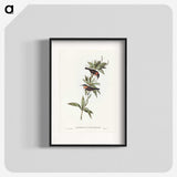 3-58_John-Gould_blk