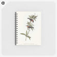 3-58_John-Gould_memo