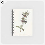 3-58_John-Gould_memo